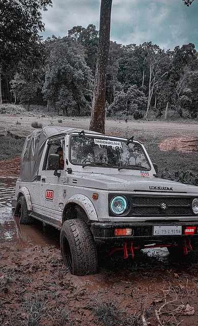 主优化词-湖北队力挫强敌赢得信心